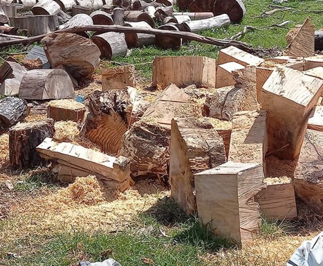 Firewood